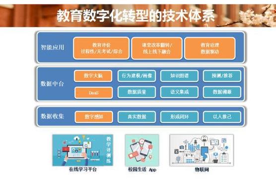 如何通过比特派官方下载最新版提升职场竞争力？_比特派百科_比特力怎么样